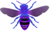 Bee Blue Purple Image